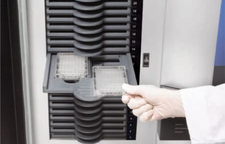 Microbial Characterisation - TECHNOPATH