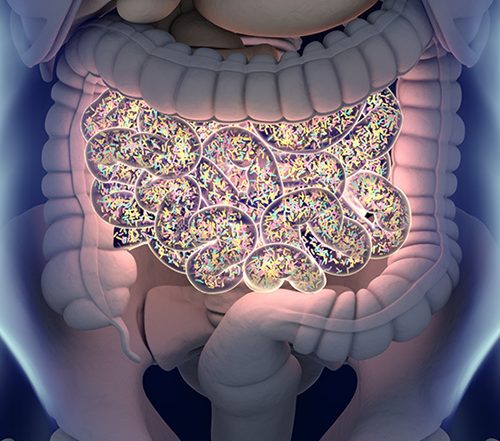Microbiome Analysis