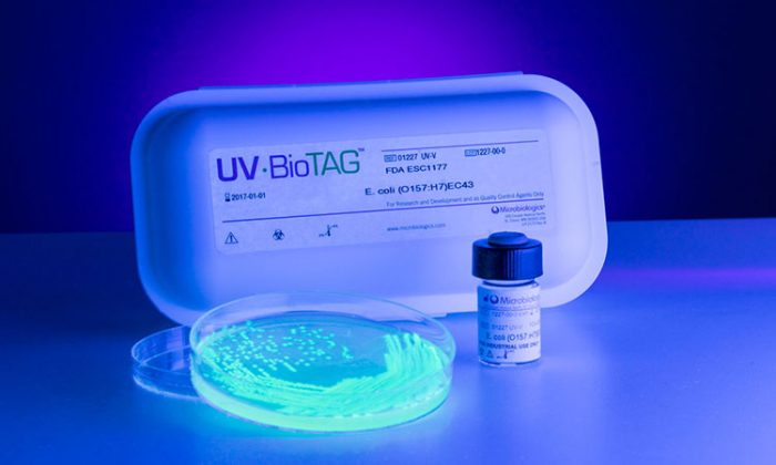 Microbiologics<small><sup>®</sup></small> UV-BioTAG<sup><small>™</small></sup> - Image 3