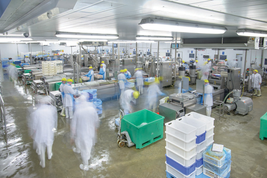Environmental monitoring in food production facilities