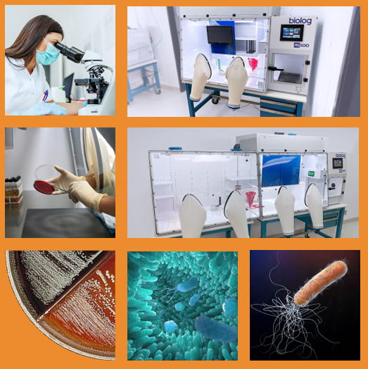 AS-500 Anaerobic Chamber from Biolog