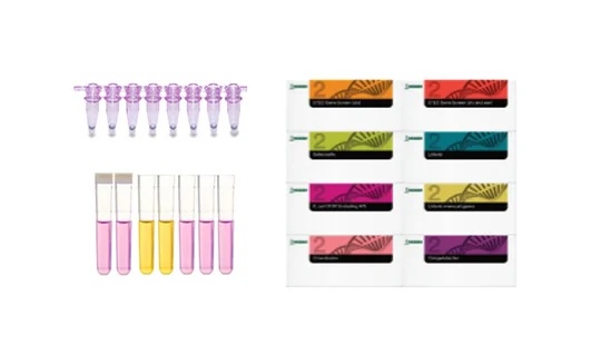 Molecular Detection Assays